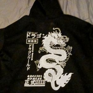 A dragon hoodie